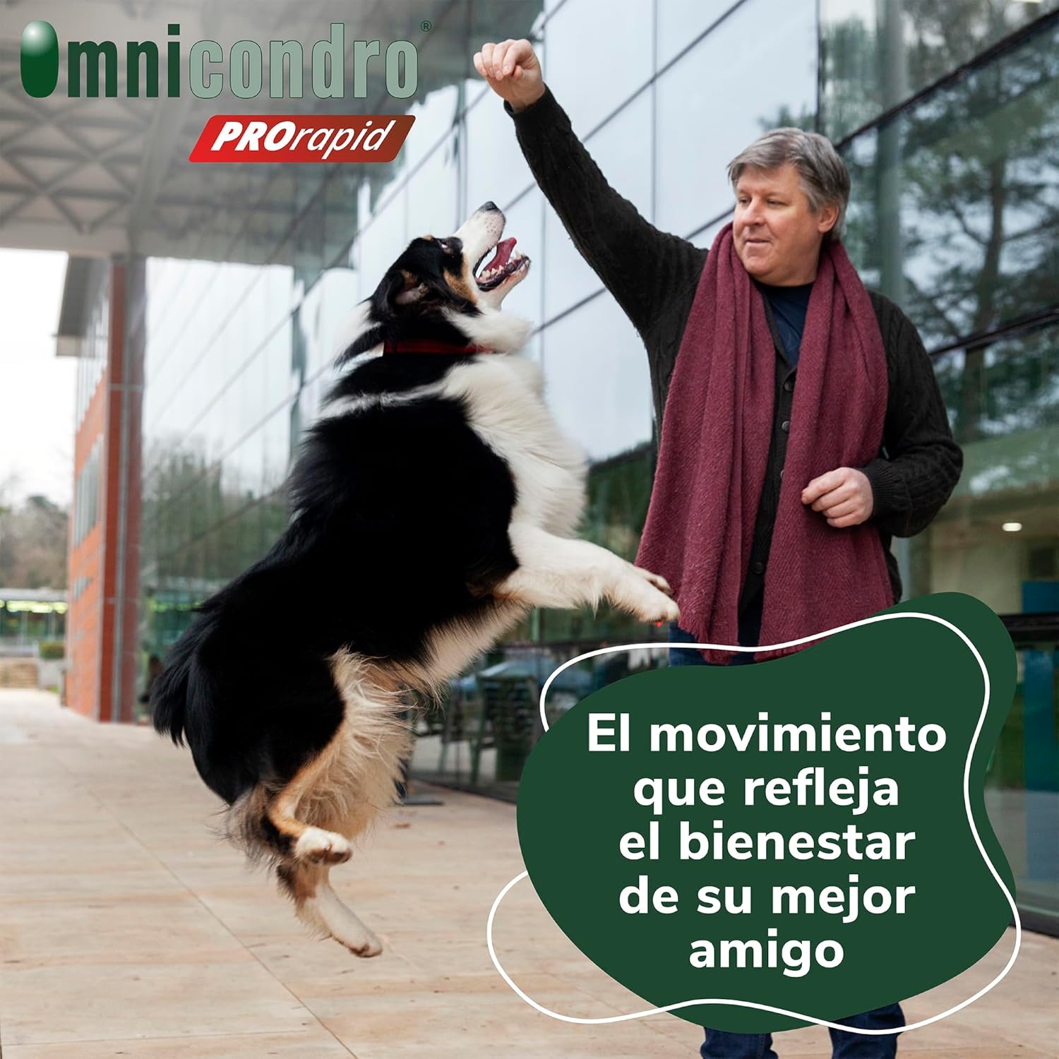 Hifarmax Omnicondro ProRapid 60 Comprimidos Suplemento Condroprotector para Perros al mejor precio -todoastorenimal.com