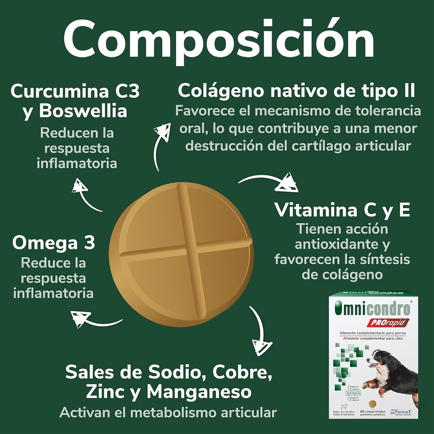 Hifarmax Omnicondro ProRapid 60 Comprimidos Suplemento Condroprotector para Perros al mejor precio -todoastorenimal.com
