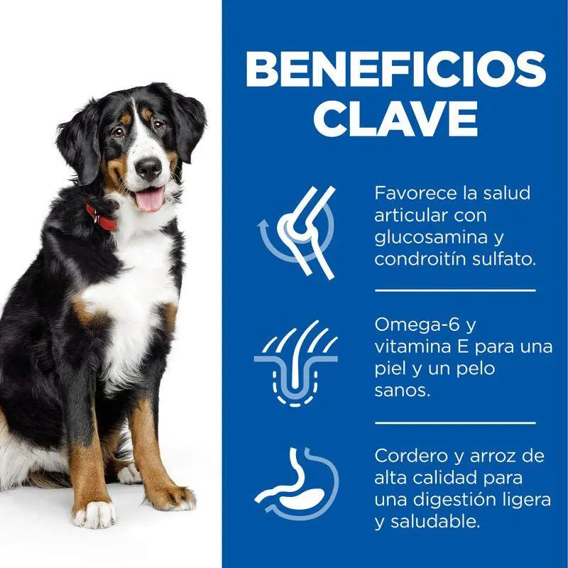Hill'S Sp Canine Adult Large Breed Cordero & Arroz 14 kg - Precios Más Baratos - Todoanimal
