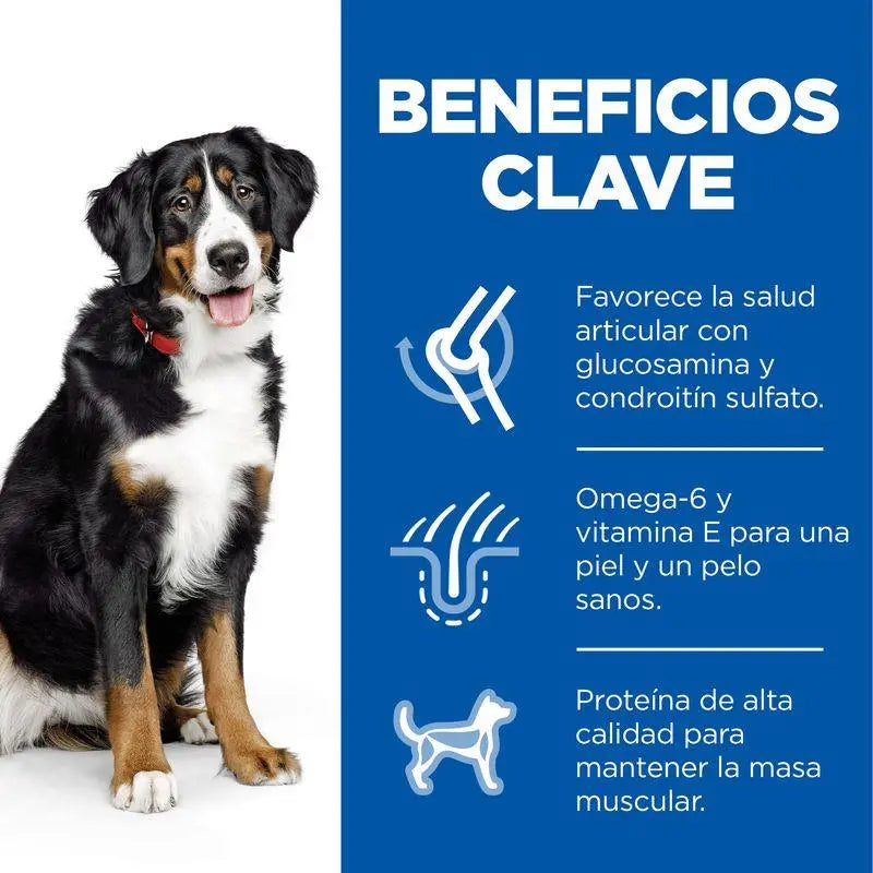 Hill'S Sp Canine Adult Large Breed Pollo 18 kg - Precios Más Baratos - Todoanimal