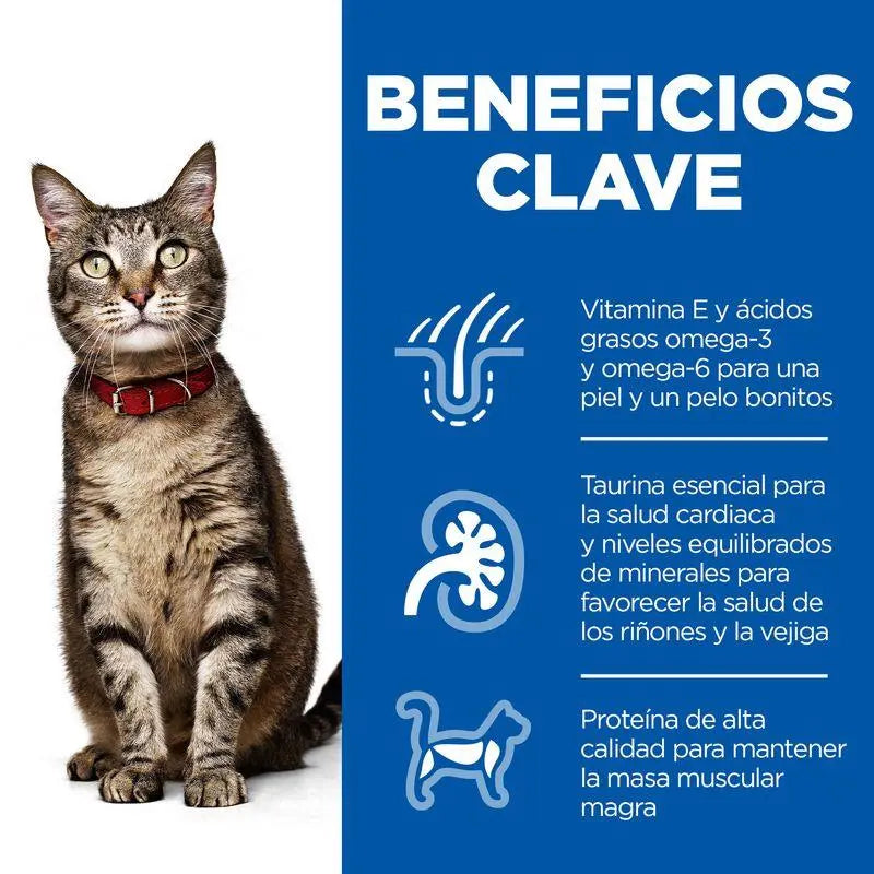 Hill'S Sp Feline Adult Cordero & Arroz 1.5Kg - Precios Más Baratos - Todoanimal