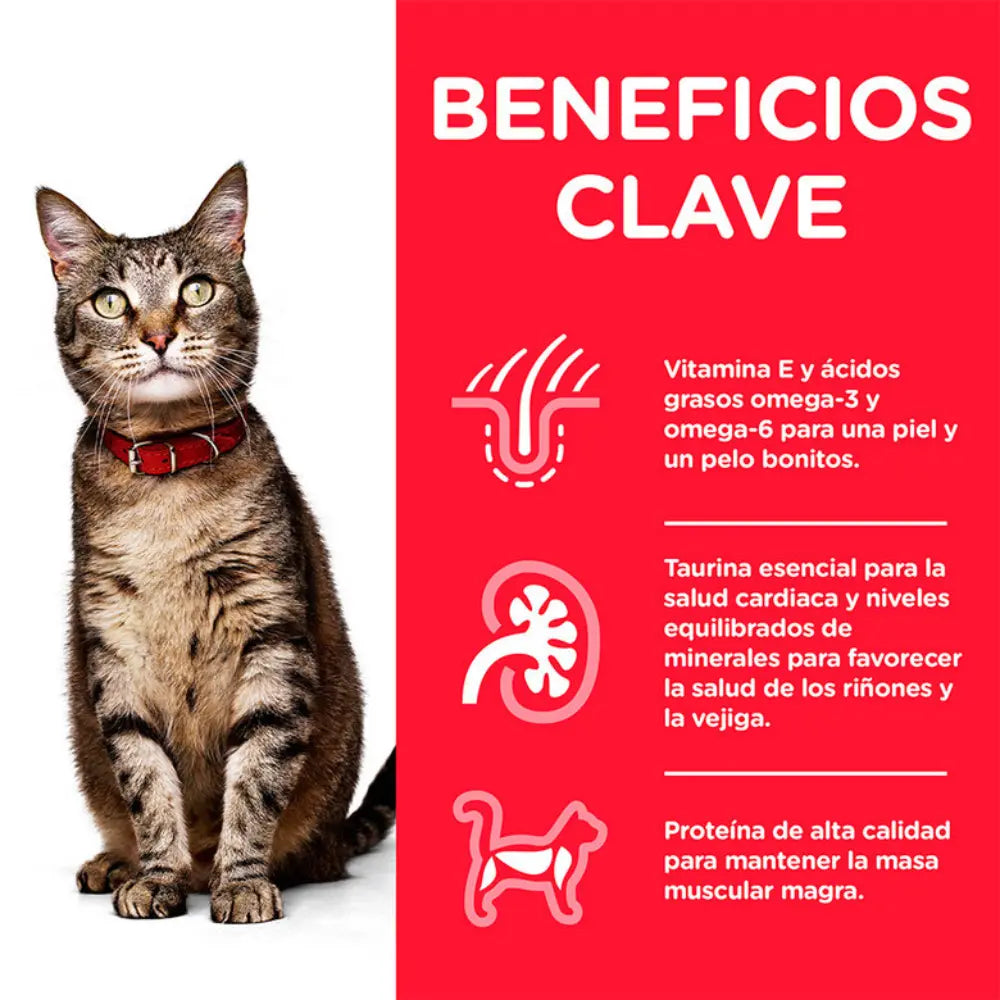 Hill'S Sp Feline Adult Ternera 85 g Sobre al mejor precio -todoastorenimal.com