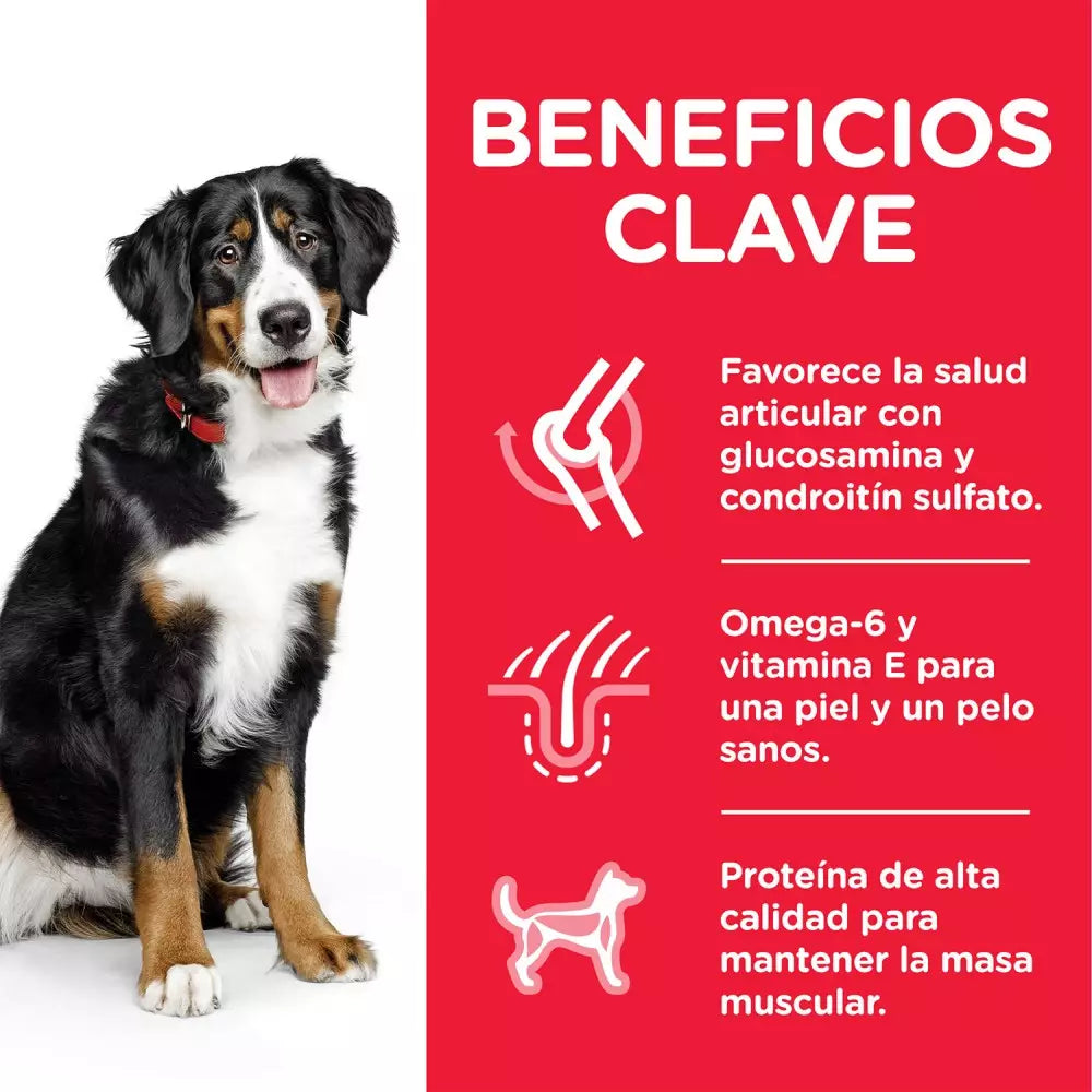 Hill's Science Plan Adult Razas Grandes Pollo Pienso para Perros al mejor precio -todoastorenimal.com