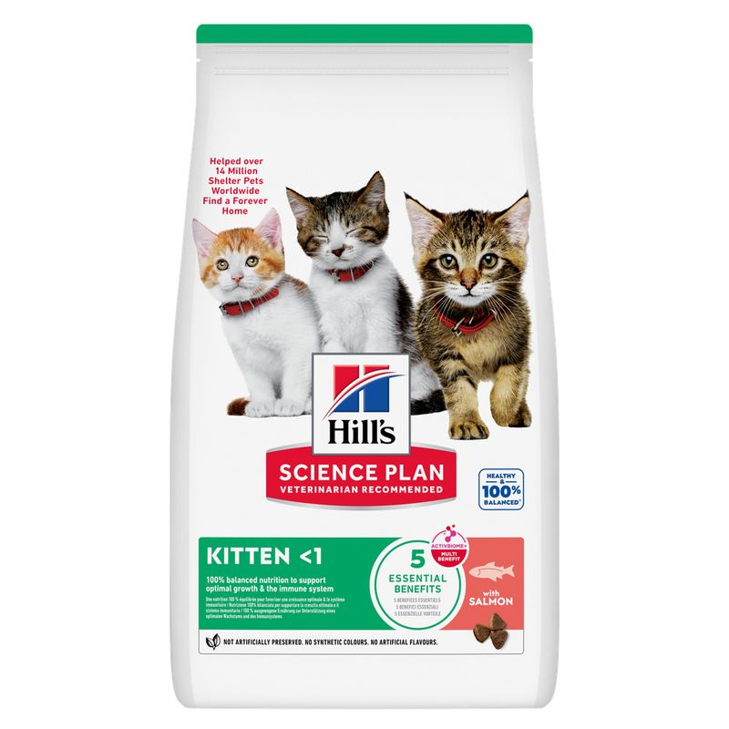 Hill's Science Plan Kitten Salmón Pienso para Gatos al mejor precio -todoastorenimal.com