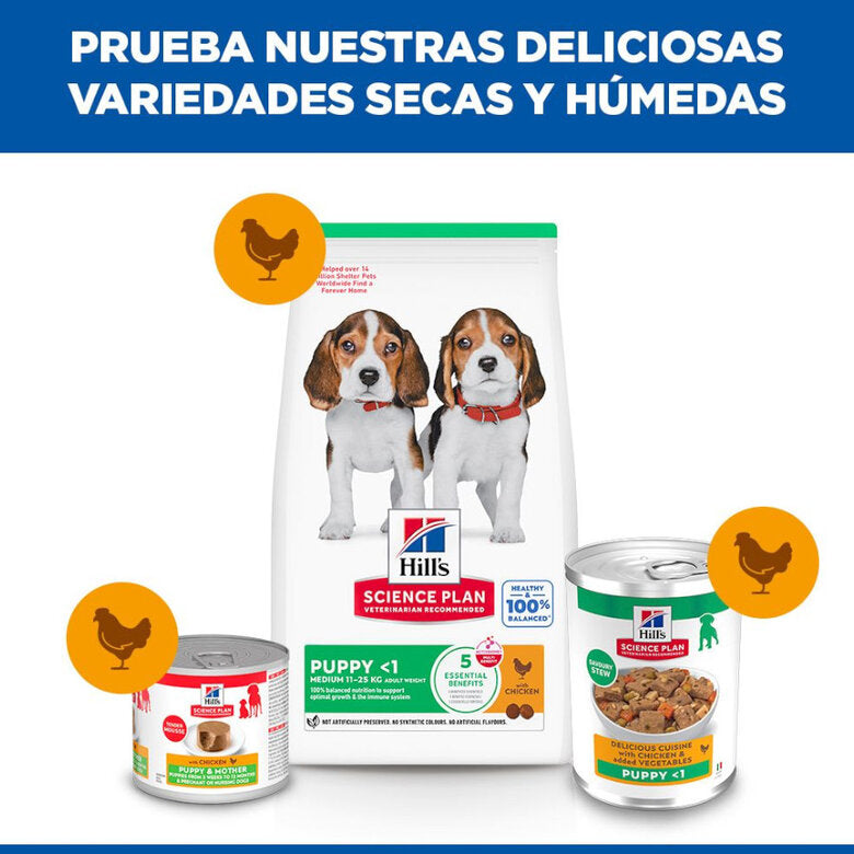 Hill's Science Plan Puppy Estofado con Pollo y Verduras Lata Húmeda para Cachorros al mejor precio -todoastorenimal.com