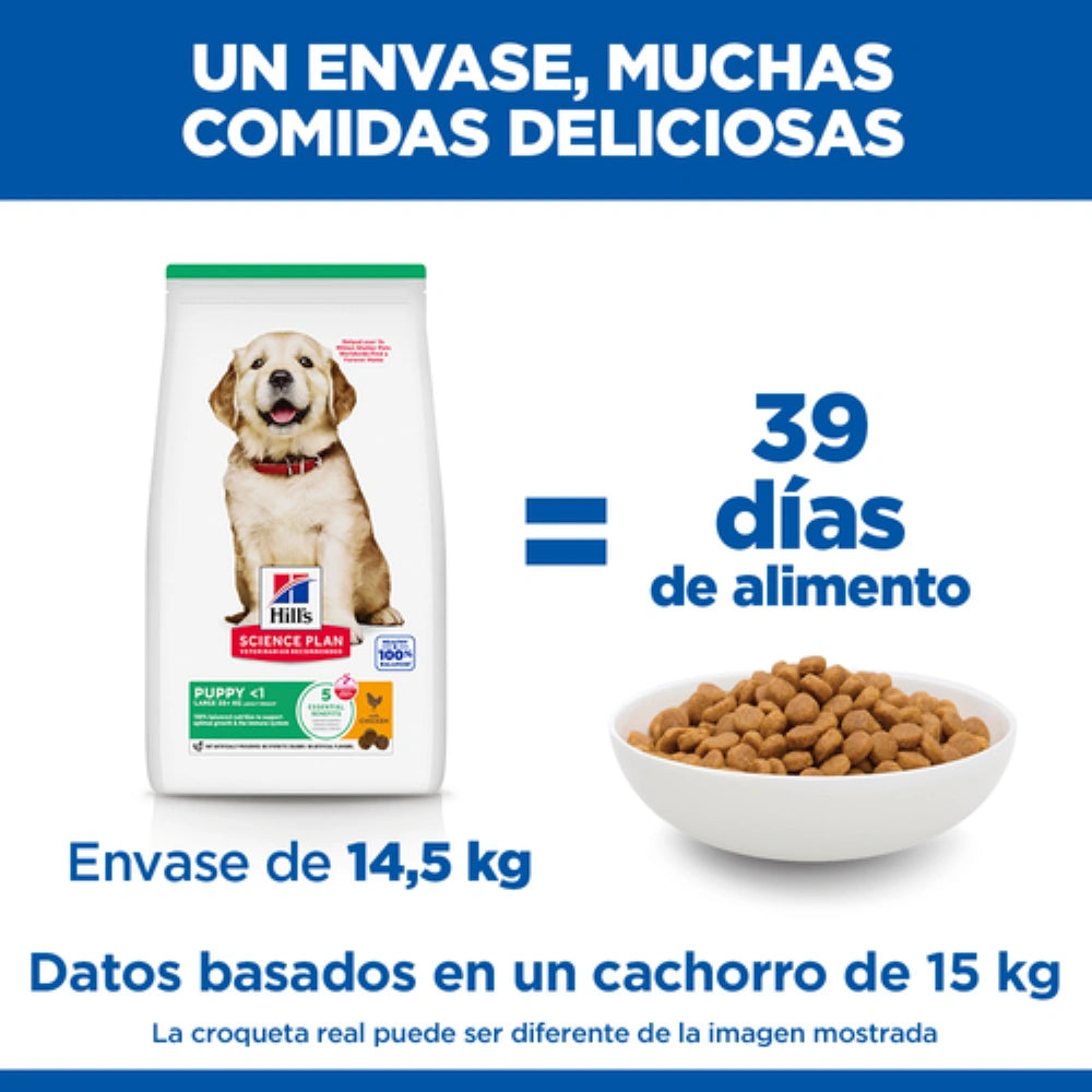 Hill's Science Plan Puppy Razas Grandes Pollo Pienso para Perros al mejor precio -todoastorenimal.com