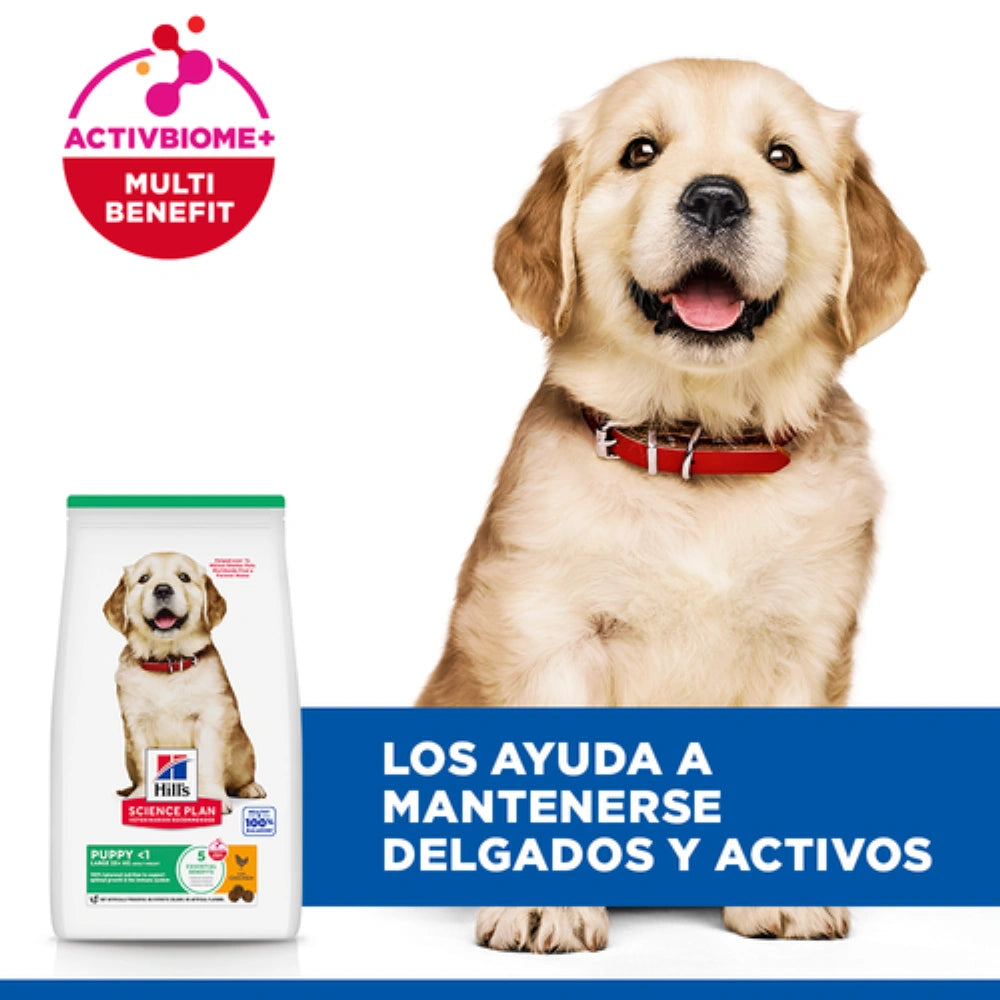 Hill's Science Plan Puppy Razas Grandes Pollo Pienso para Perros al mejor precio -todoastorenimal.com