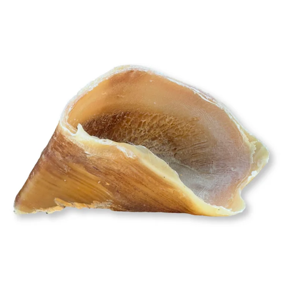 Hobbitalf Oreja de Ternera Ahumada Blister Snack Natural para Perros al mejor precio -todoastorenimal.com
