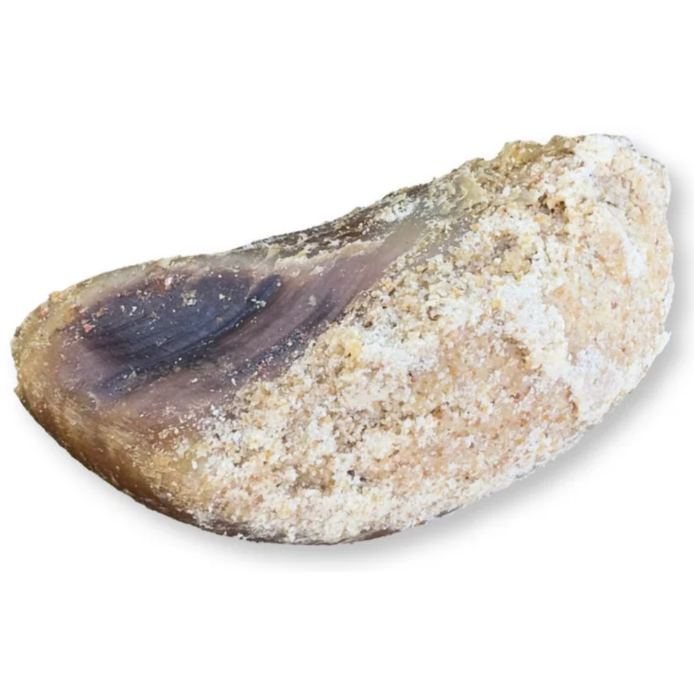 Hobbitalf Pezuña de Ternera Ahumada Rellena Snack para Perros al mejor precio -todoastorenimal.com