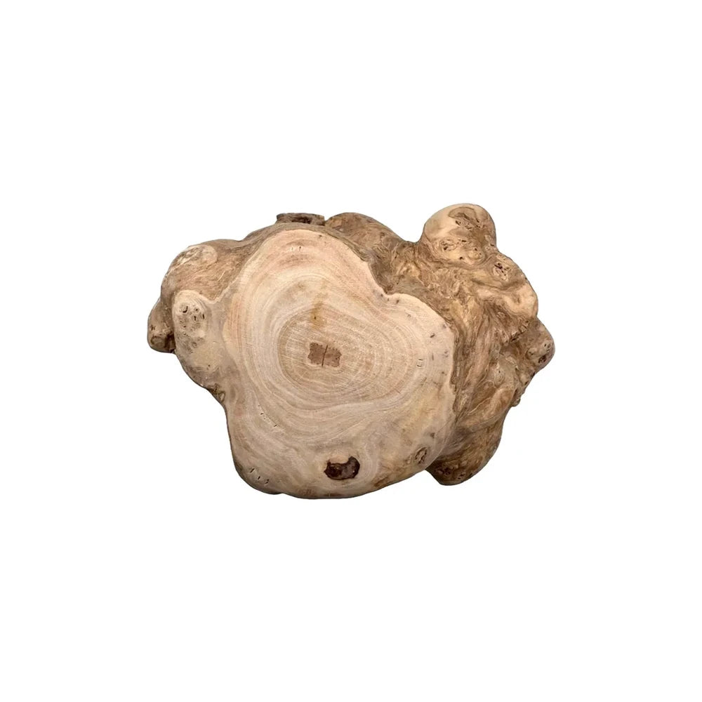 Hobbitalf Tronco de Madera de Café Snack Natural para Perros al mejor precio -todoastorenimal.com