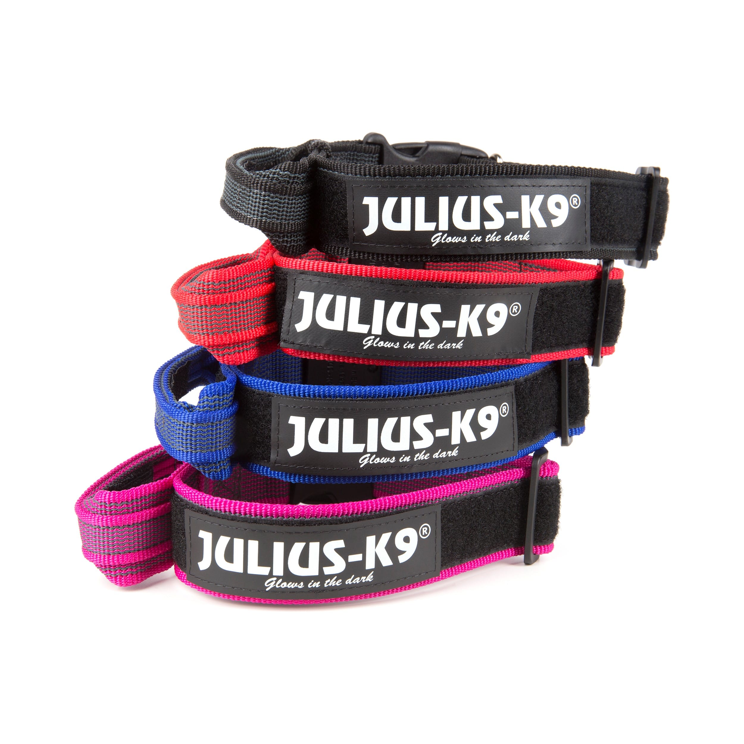 Julius K9 Collar con Asa para Perros al mejor precio -todoastorenimal.com