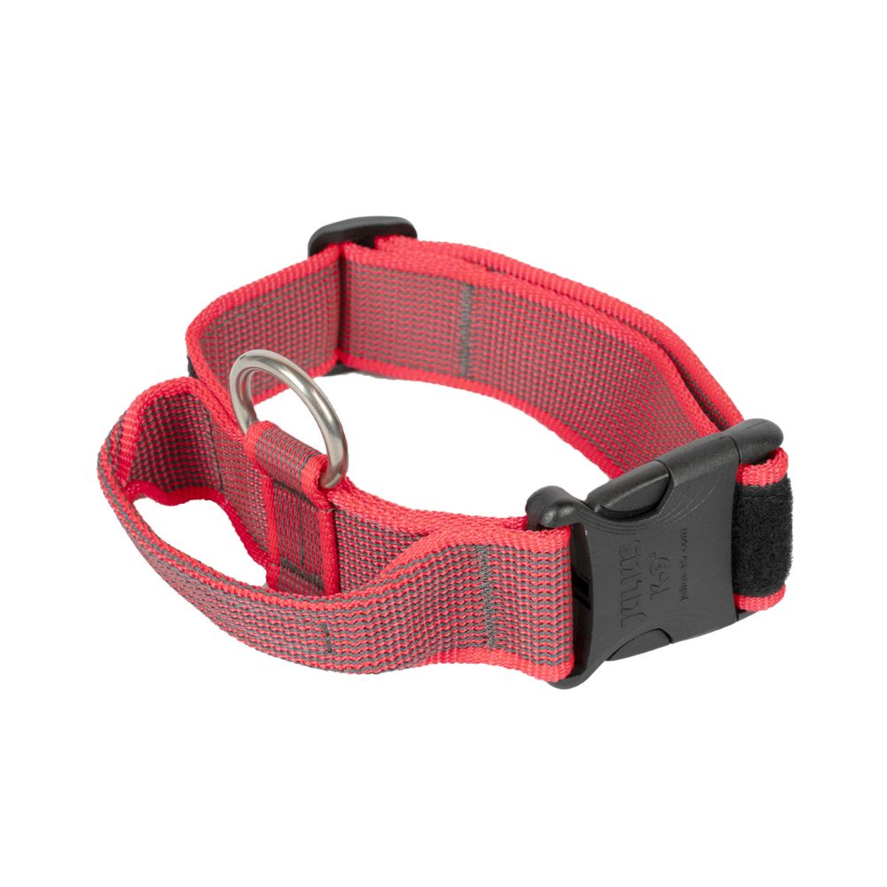 Julius K9 Collar con Asa para Perros al mejor precio -todoastorenimal.com
