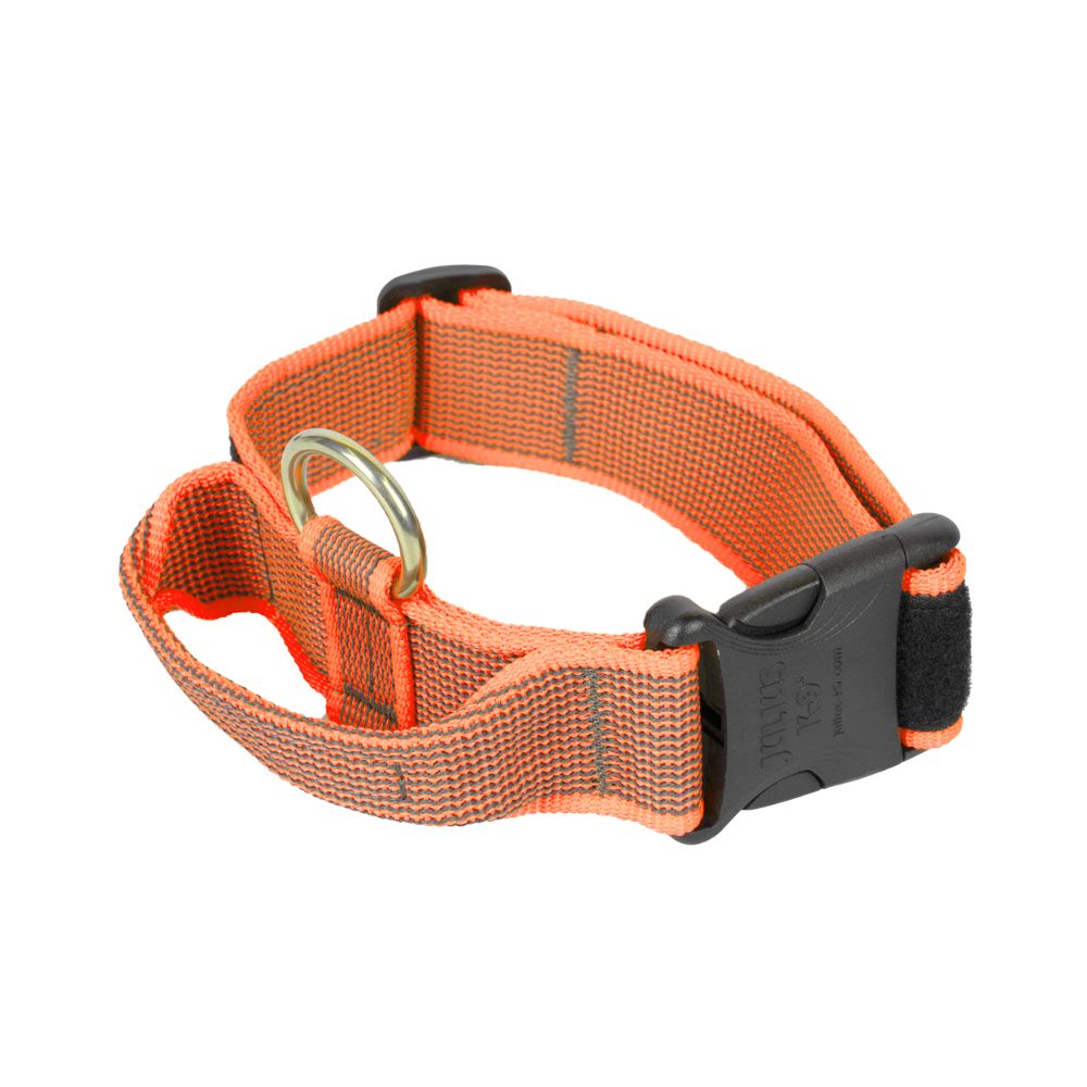 Julius K9 Collar con Asa para Perros al mejor precio -todoastorenimal.com