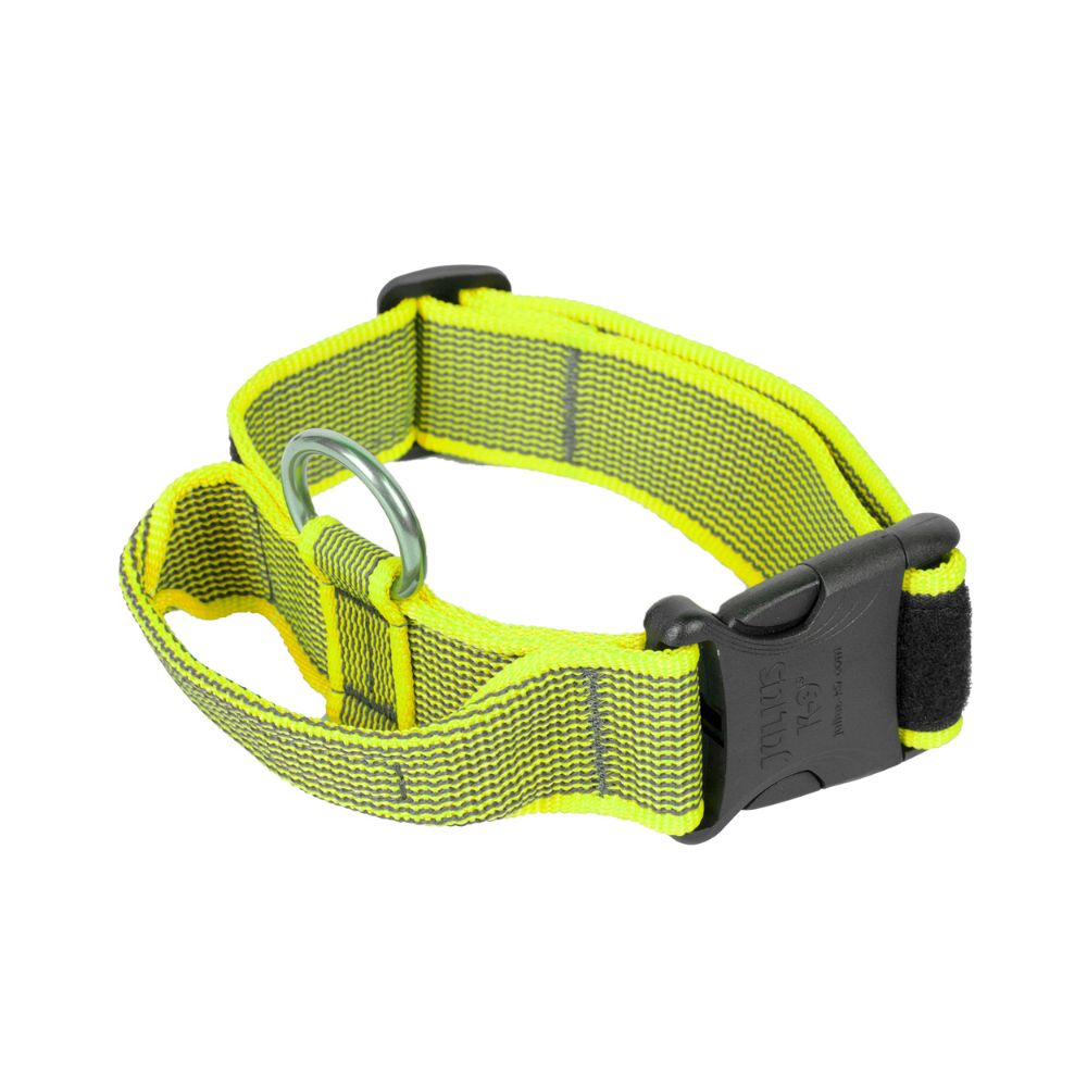 Julius K9 Collar con Asa para Perros al mejor precio -todoastorenimal.com