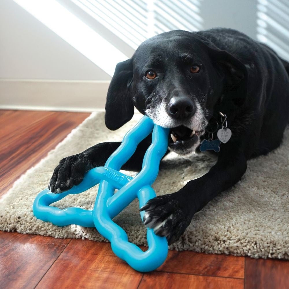 Kong Flyangle Assorted L Juguete para Perros al mejor precio -todoastorenimal.com