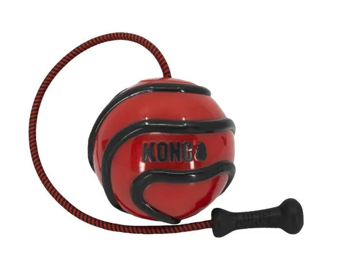 Kong Juguete Perro Wavz Bunjiball M - Precios Más Baratos - Todoanimal