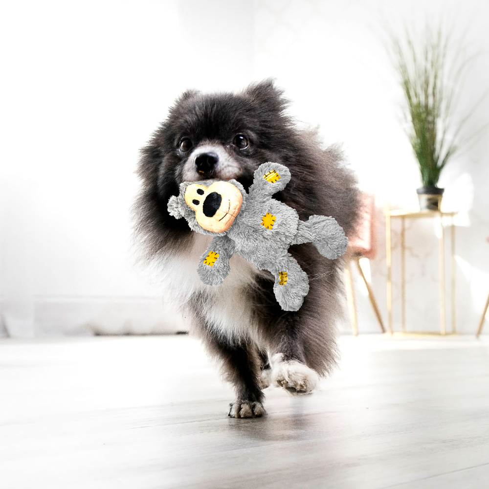 Kong Juguete Perro Wildknots Oso XS al mejor precio -todoastorenimal.com