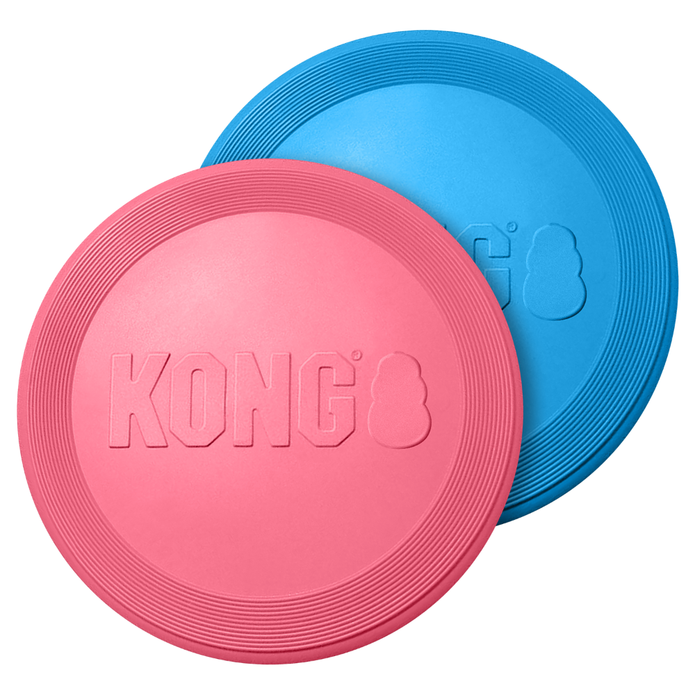 Kong Puppy Flyer (Kp15) al mejor precio -todoastorenimal.com