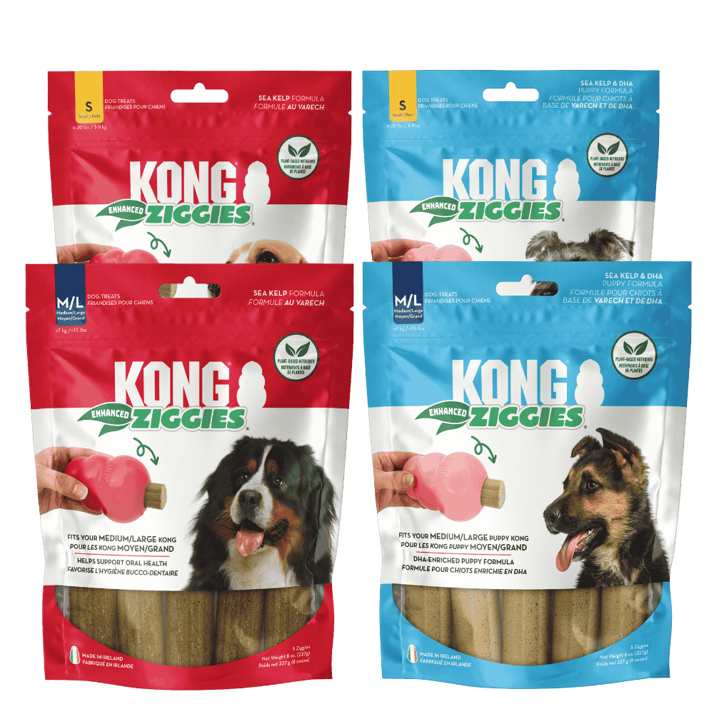 Kong Ziggies Enhanced Snack para Perros Adultos y Cachorros al mejor precio -todoastorenimal.com