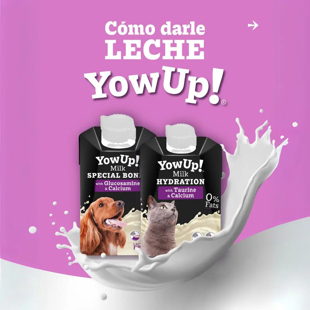 Leche para Gatos 200 ml YowUp! al mejor precio -todoastorenimal.com