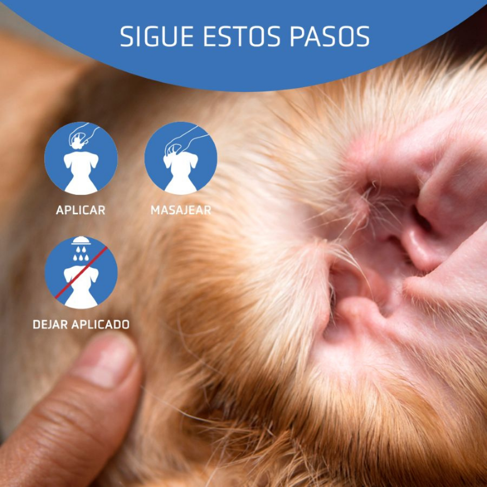 Limpiador Auricular Aurigel 100 ml al mejor precio -todoastorenimal.com