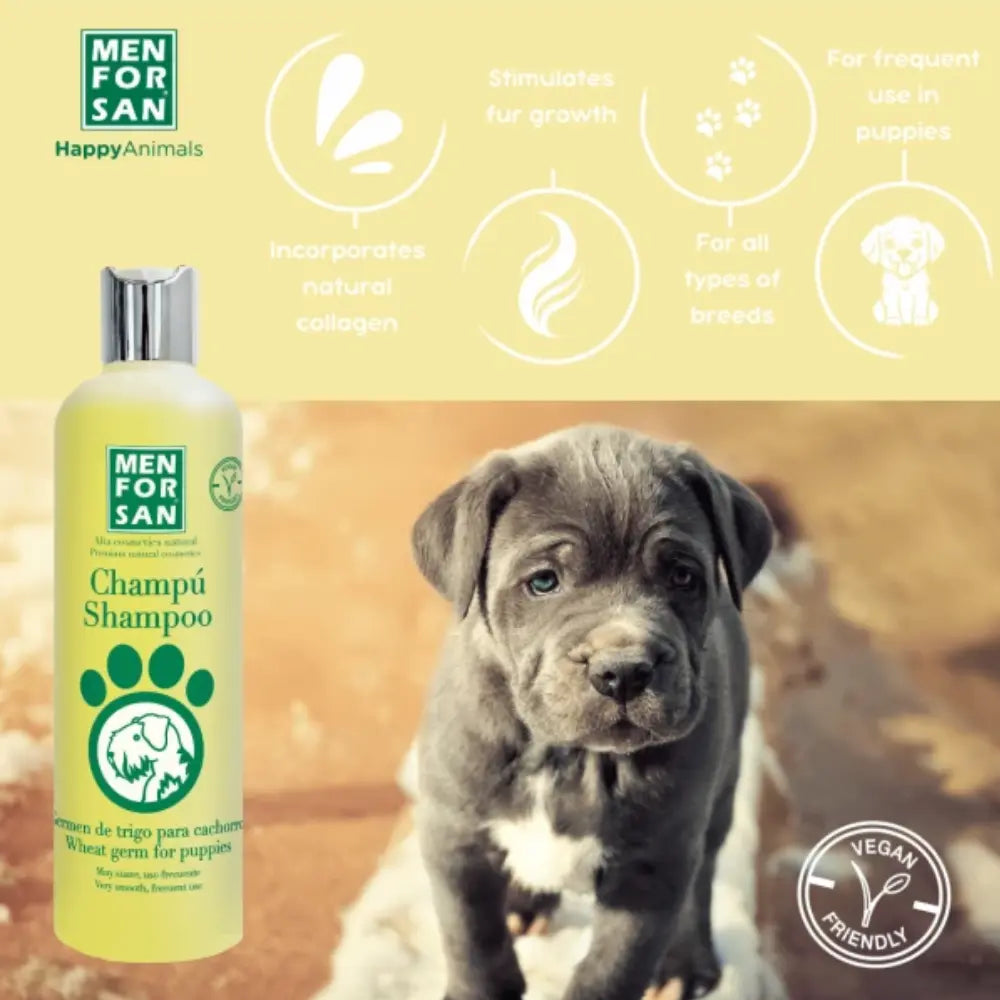 Menforsan Champú Germen de Trigo Cachorros 300 ml al mejor precio -todoastorenimal.com