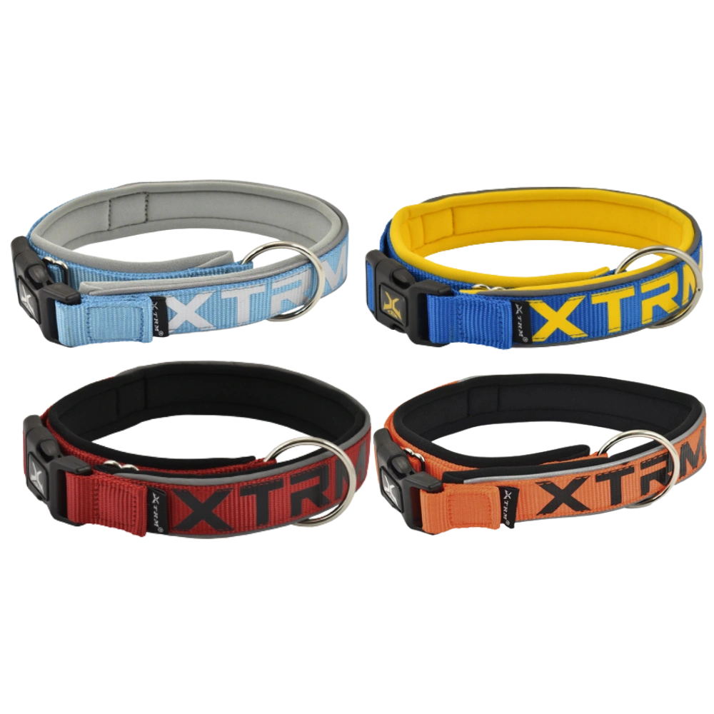 Nayeco Collar X-TRM Neon Flash para Perro al mejor precio -todoastorenimal.com