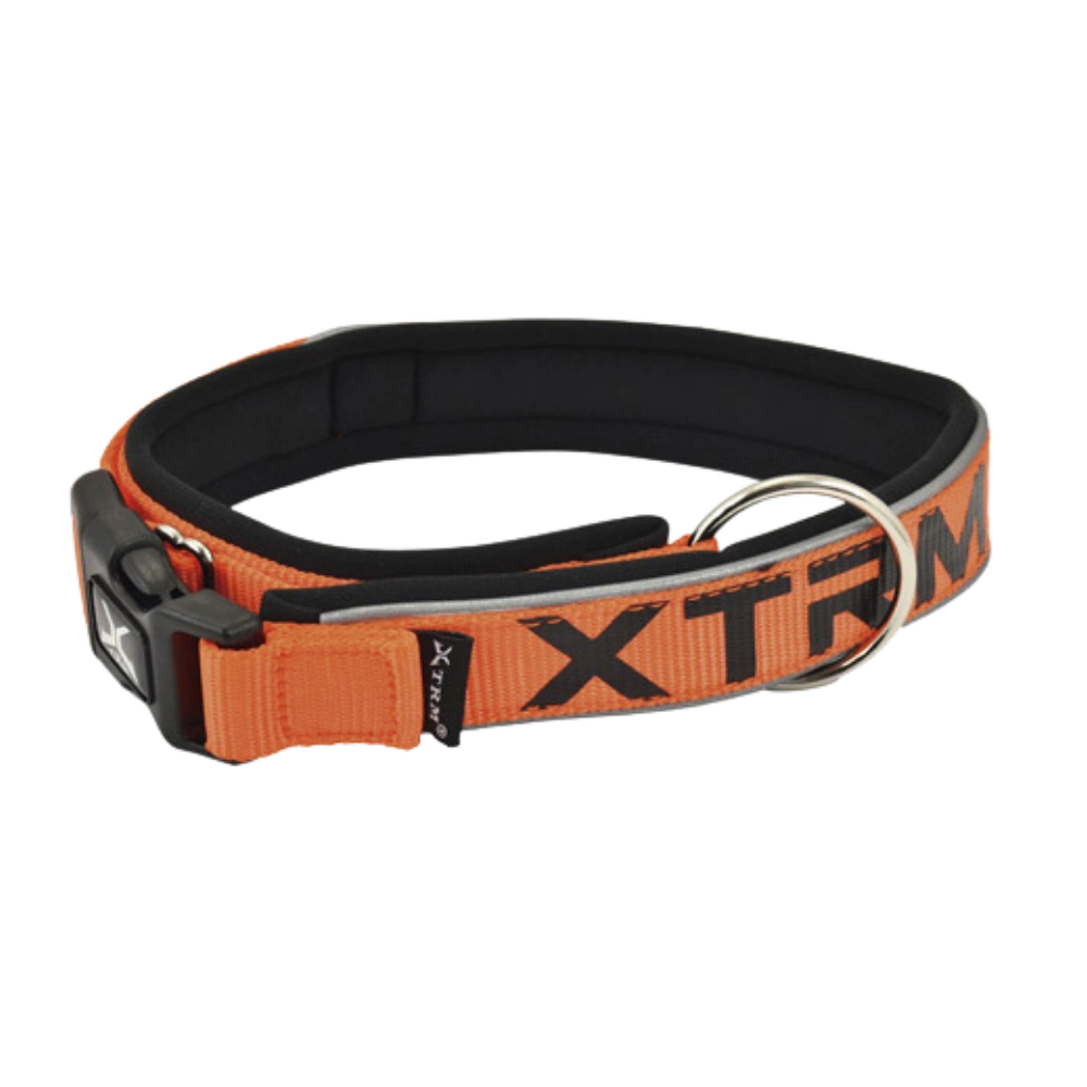 Nayeco Collar X-TRM Neon Flash para Perro al mejor precio -todoastorenimal.com