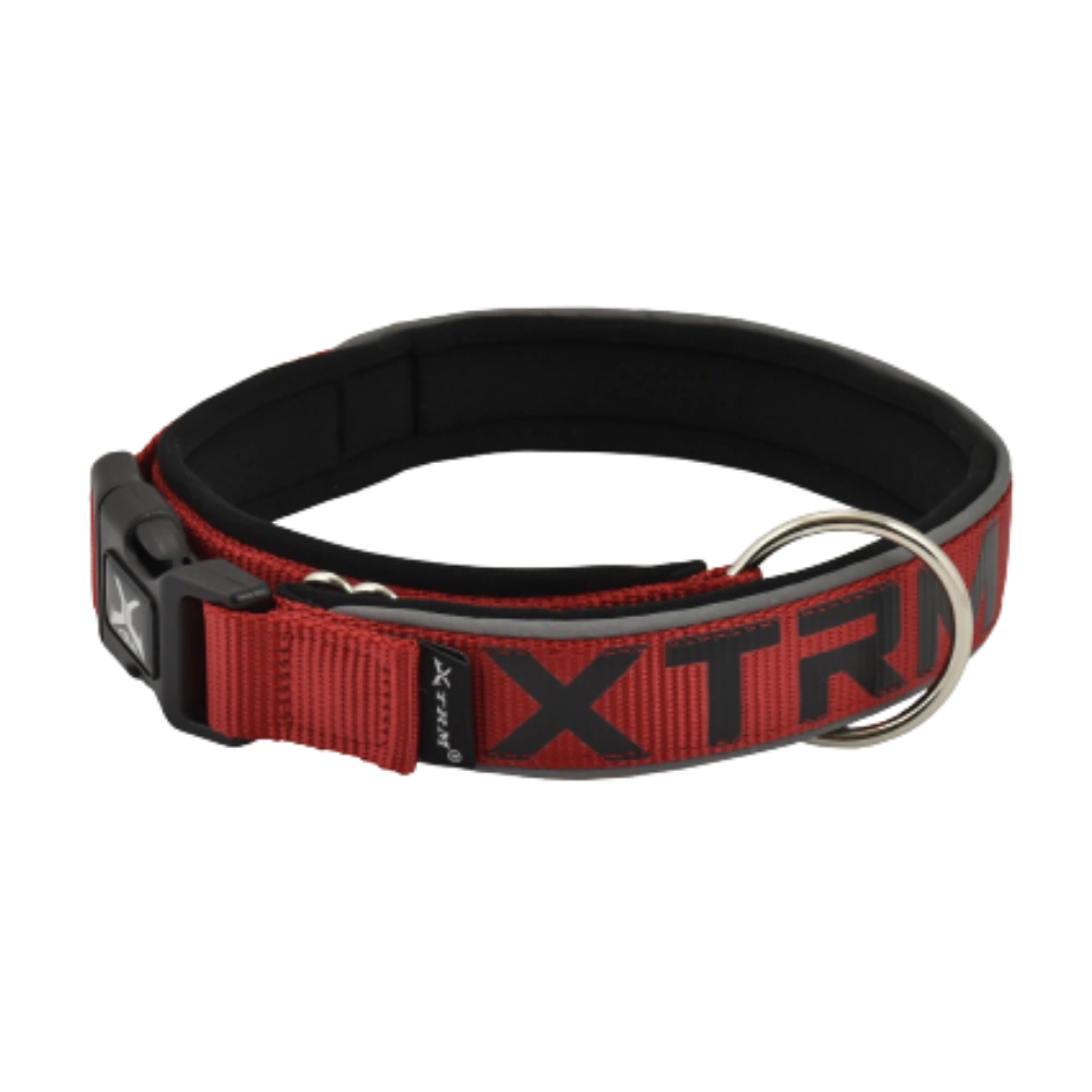Nayeco Collar X-TRM Neon Flash para Perro al mejor precio -todoastorenimal.com