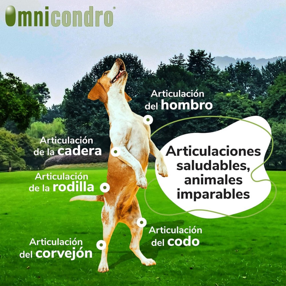 Omnicondro 10 | 60 comprimidos | Condroprotector para Perros, Gatos y Cachorros con Glucosamina y Condroitina | Suplemento Nutricional para Reforzar Articulaciones | Hifarmax al mejor precio -todoastorenimal.com