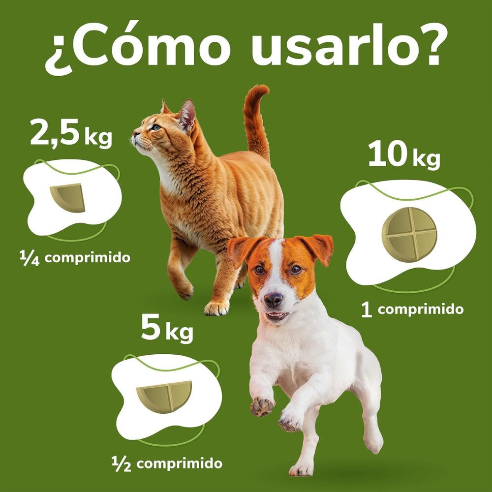 Omnicondro 10 | 60 comprimidos | Condroprotector para Perros, Gatos y Cachorros con Glucosamina y Condroitina | Suplemento Nutricional para Reforzar Articulaciones | Hifarmax al mejor precio -todoastorenimal.com