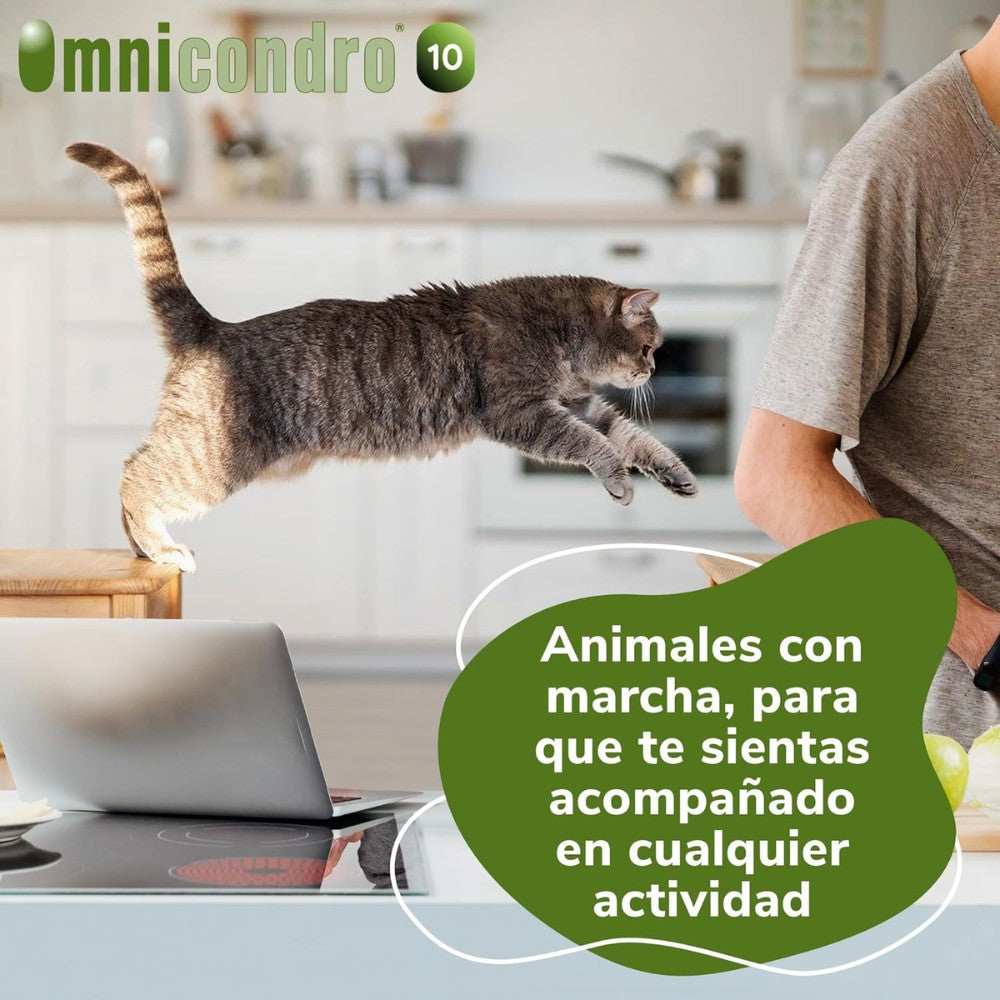 Omnicondro 10 | 60 comprimidos | Condroprotector para Perros, Gatos y Cachorros con Glucosamina y Condroitina | Suplemento Nutricional para Reforzar Articulaciones | Hifarmax al mejor precio -todoastorenimal.com