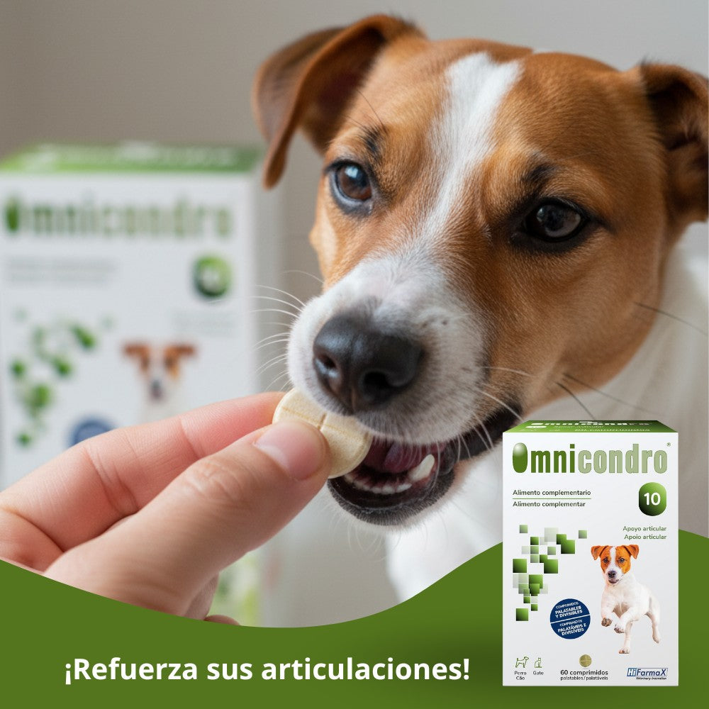 Omnicondro 10 | 60 comprimidos | Condroprotector para Perros, Gatos y Cachorros con Glucosamina y Condroitina | Suplemento Nutricional para Reforzar Articulaciones | Hifarmax al mejor precio -todoastorenimal.com