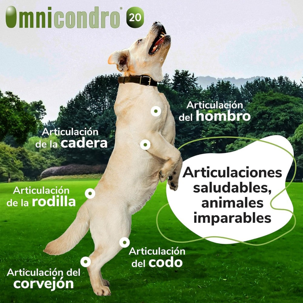 Omnicondro 20 | 60 comprimidos | Condroprotector para Perros y Gatos con Glucosamina y Condroitina | Suplemento Nutricional para Reforzar Articulaciones | Hifarmax al mejor precio -todoastorenimal.com