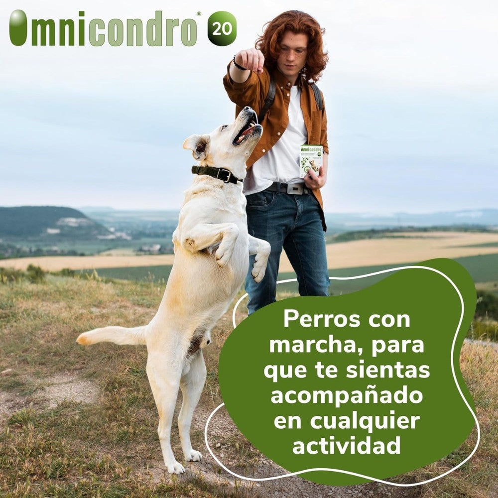 Omnicondro 20 | 60 comprimidos | Condroprotector para Perros y Gatos con Glucosamina y Condroitina | Suplemento Nutricional para Reforzar Articulaciones | Hifarmax al mejor precio -todoastorenimal.com
