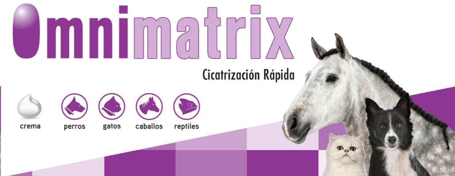 Omnimatrix Pomada 60 Gr. - Precios Más Baratos - Todoanimal