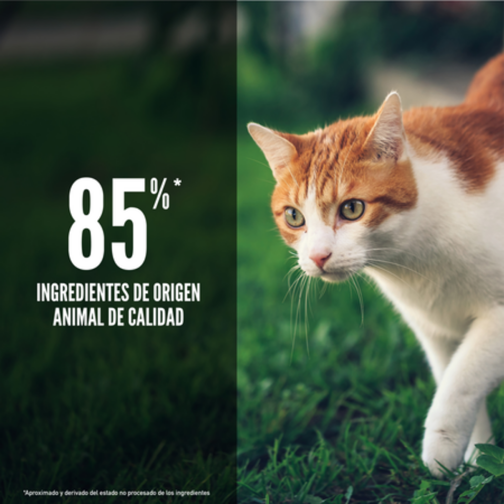 Orijen Cat Fit & Trim al mejor precio -todoastorenimal.com