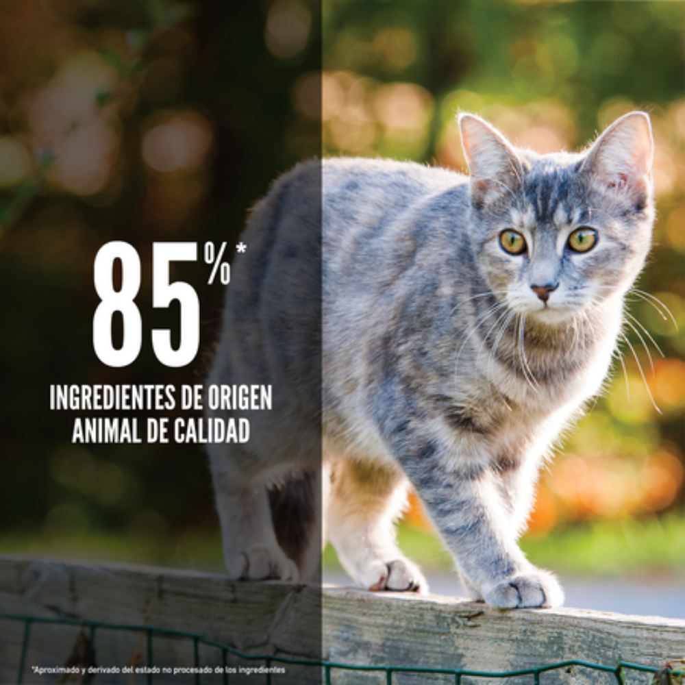 Orijen Cat Original al mejor precio -todoastorenimal.com