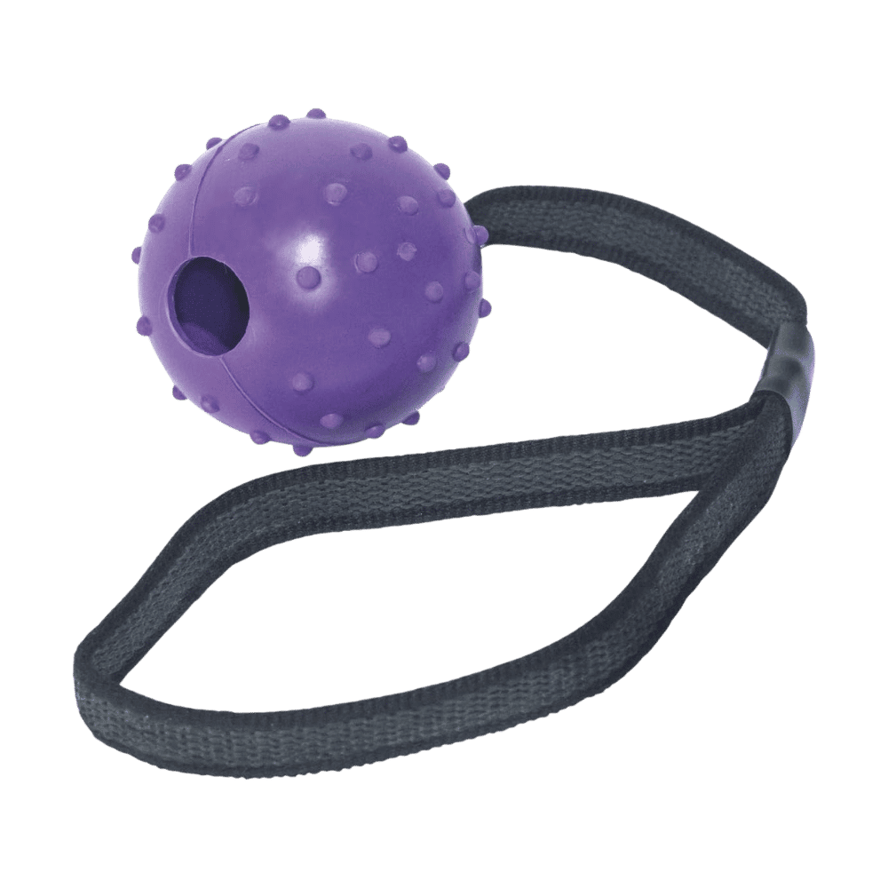 Pelota de Goma con Cinta Juguete para Perros al mejor precio -todoastorenimal.com