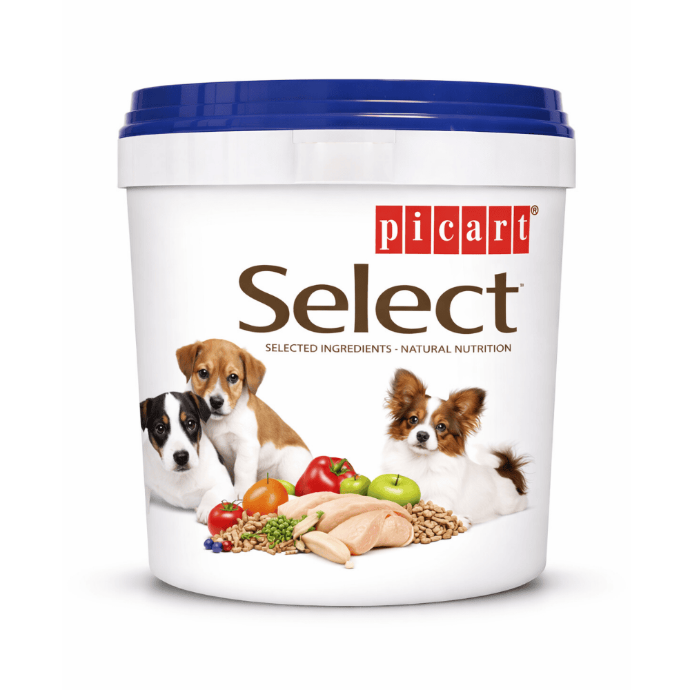 Picart Bidón para Guardar Pienso Pequeño 5,7L al mejor precio -todoastorenimal.com