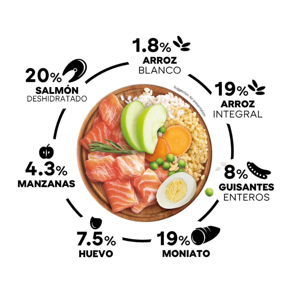 Picart Select Adult Mini Extra Salmón & Rice Pienso para Perros al mejor precio -todoastorenimal.com