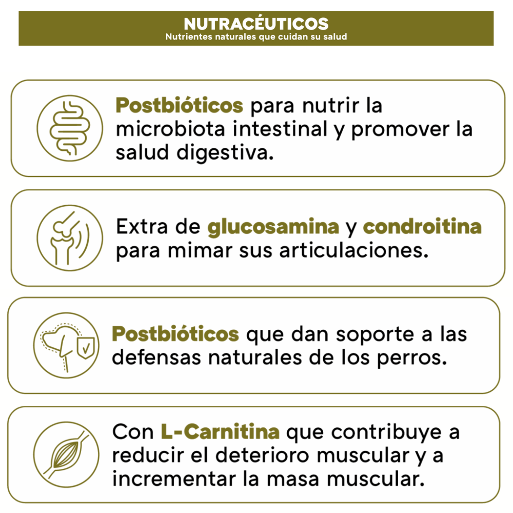 Picart Select Adult Sensitive Lamb & Rice Pienso para Perros de Cordero y Arroz al mejor precio -todoastorenimal.com