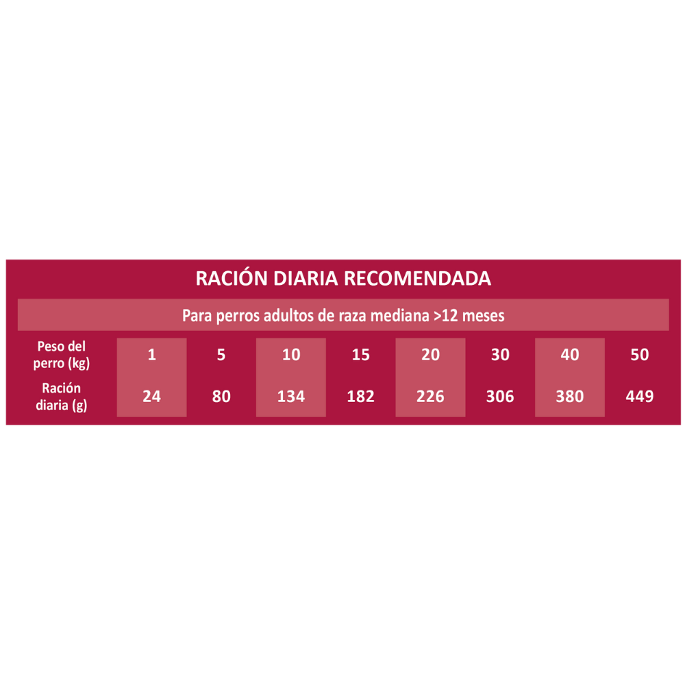Picart Select Dog Medium Adult Chicken & Rice Pienso para Perros al mejor precio -todoastorenimal.com