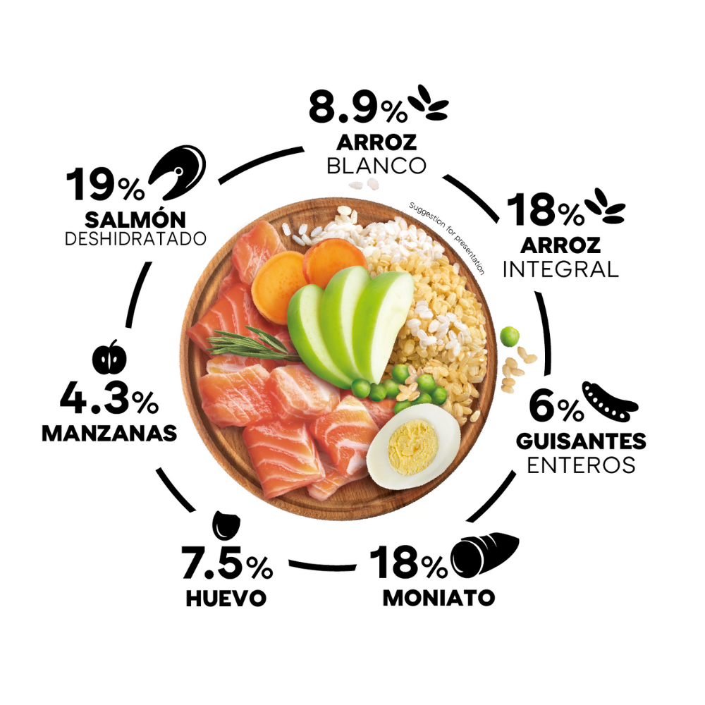 Picart Select Sensitive Extra Salmón & Rice Pienso para Perros al mejor precio -todoastorenimal.com
