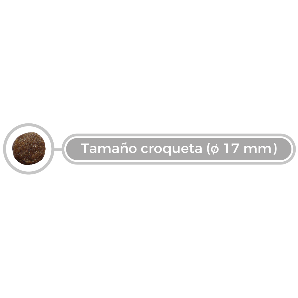 Picart Select Veterinary Diet Mobility Pienso para Perros al mejor precio -todoastorenimal.com