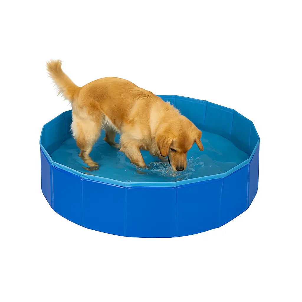 Piscina Para Perros 80 cm Wouapy al mejor precio -todoastorenimal.com