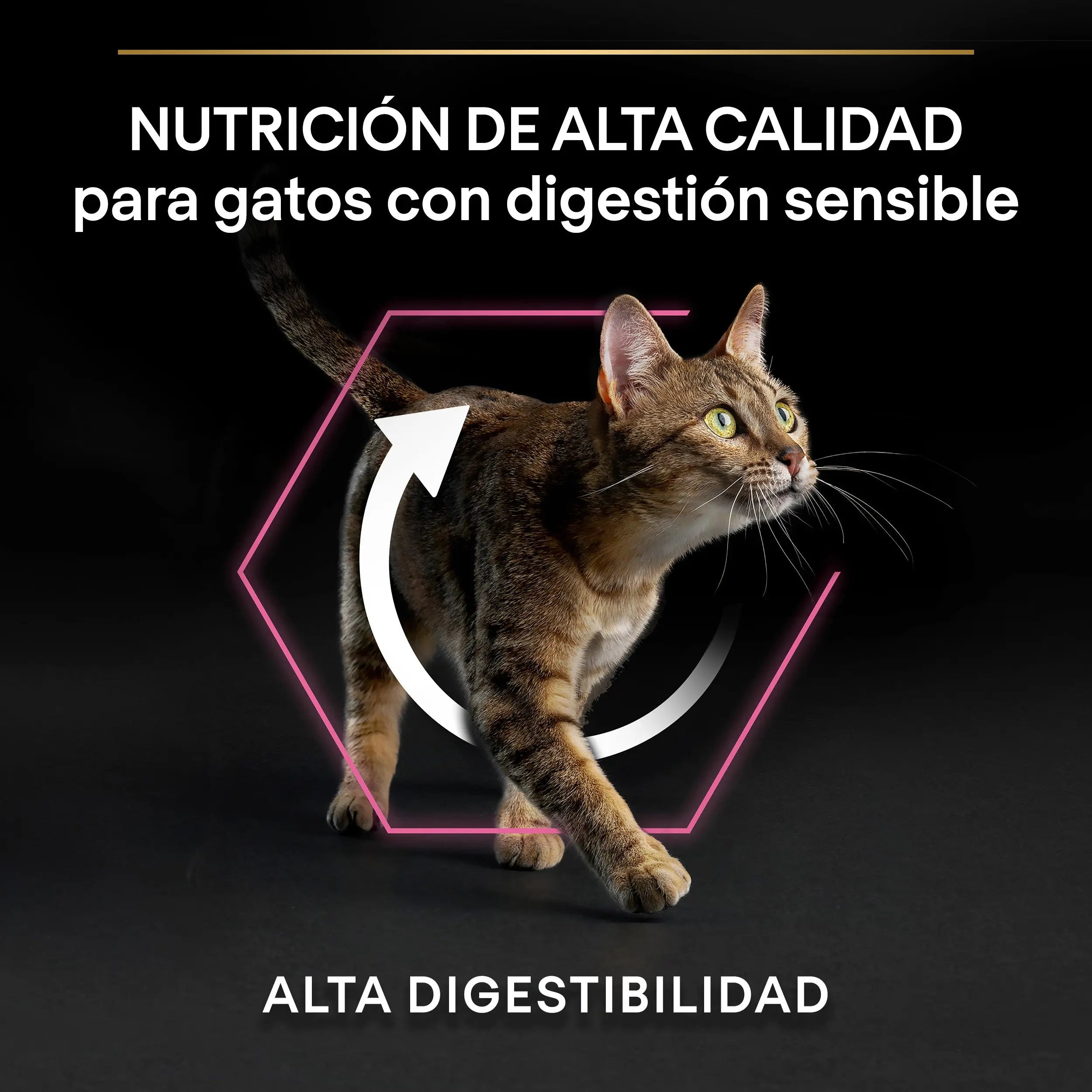 Pro Plan Cat Adult Delicate Digest Pavo 3 kg al mejor precio -todoastorenimal.com