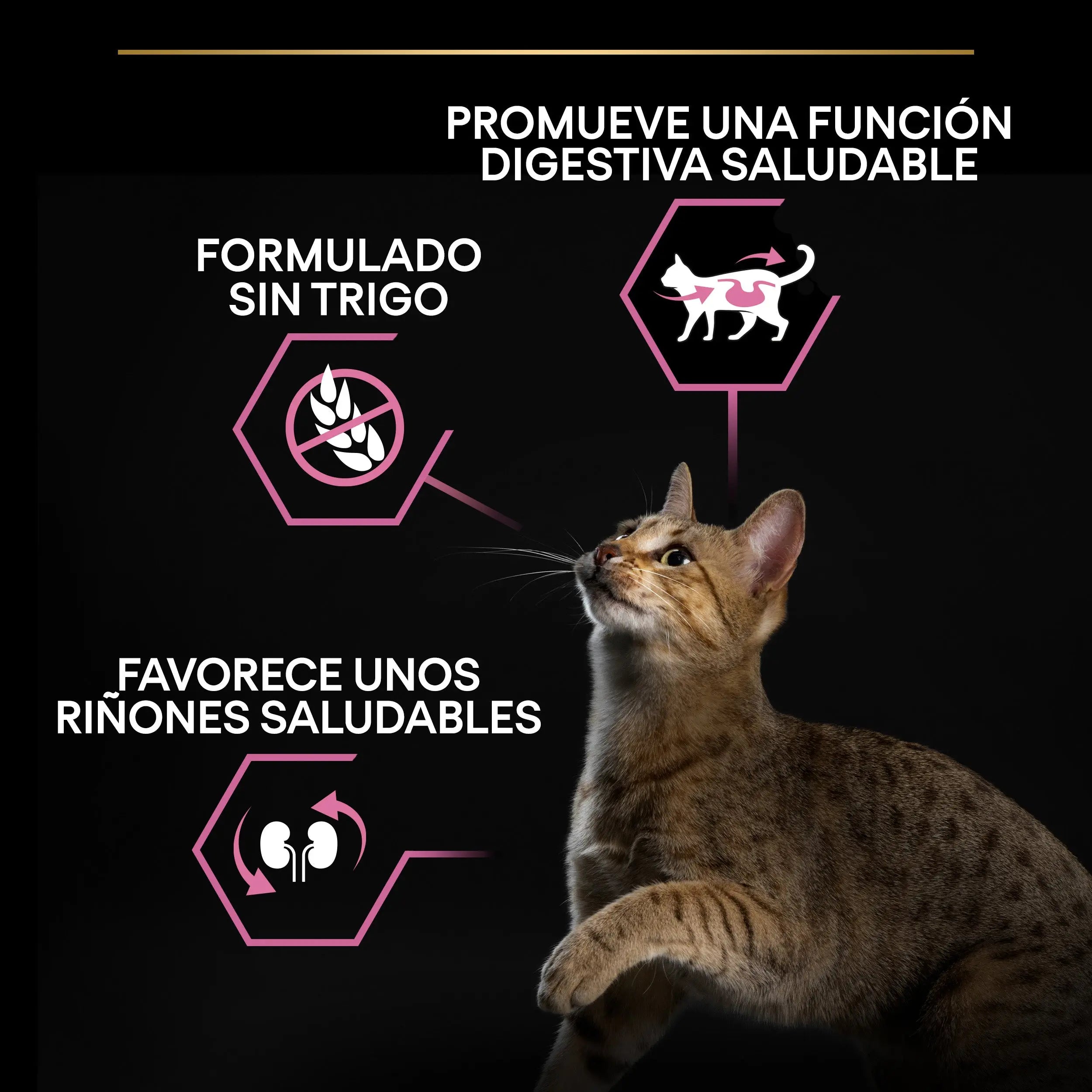 Pro Plan Cat Adult Delicate Digest Pavo 3 kg al mejor precio -todoastorenimal.com