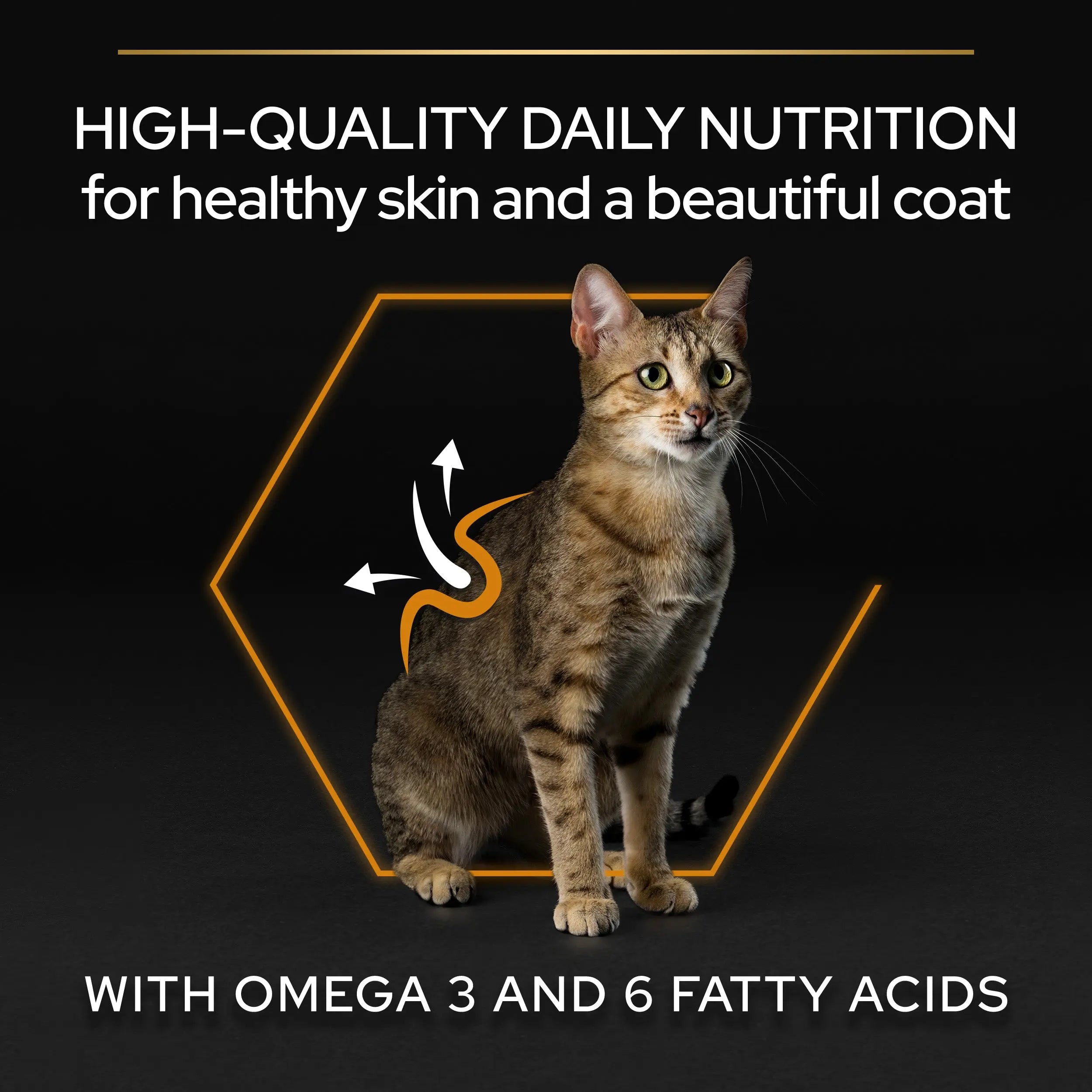 Pro Plan Cat Adult Derma Care Salmón 3 kg al mejor precio -todoastorenimal.com