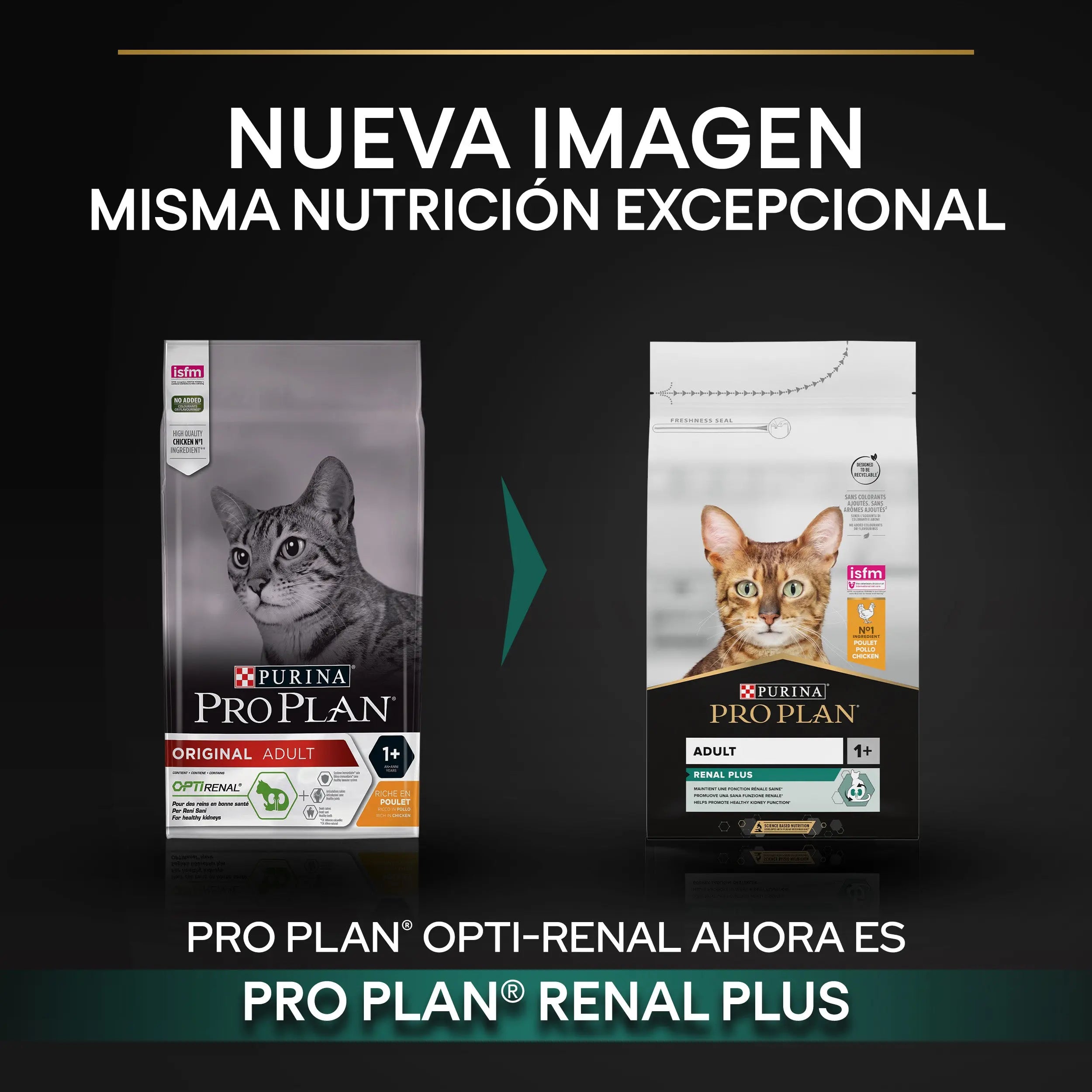Pro Plan Cat Adult Renal+ Pollo 10 kg al mejor precio -todoastorenimal.com